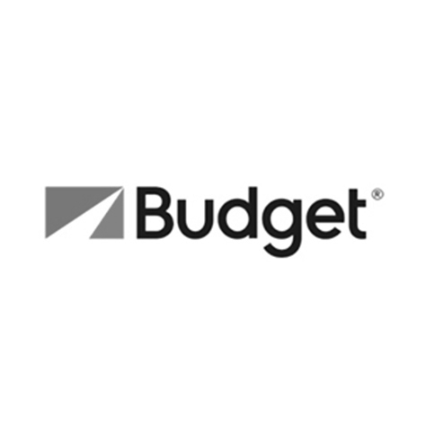 BudgetLogo_BN